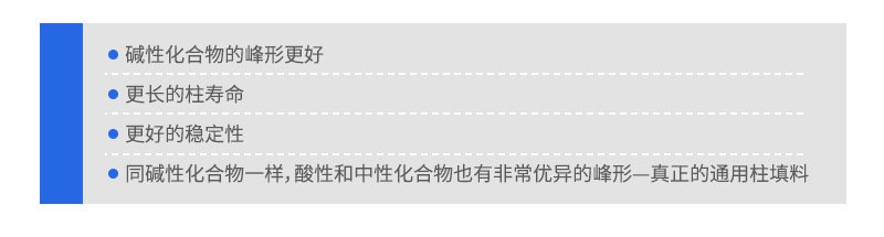 Hypersil BDS填料的特征