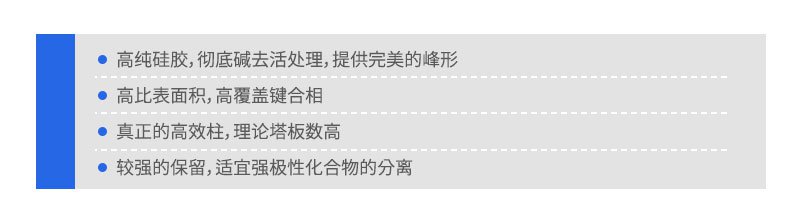 BETASIL填料分析柱特點(diǎn)