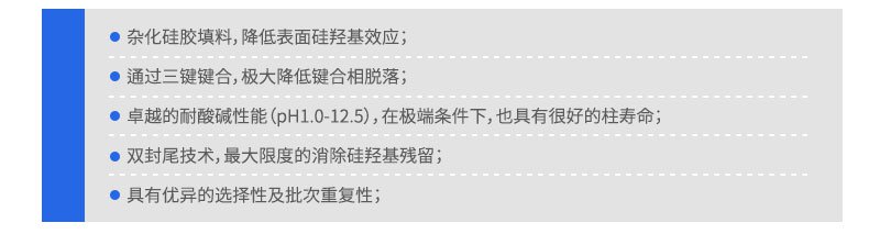 SinoPak BEH填料UHPLC色譜柱系列