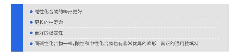 Hypersil BDS填料UHPLC色譜柱系列